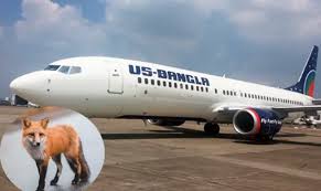 বিমানবন্দরের রানওয়েতে শিয়াল, ২৬ মিনিট পর উড়ল উড়োজাহাজ